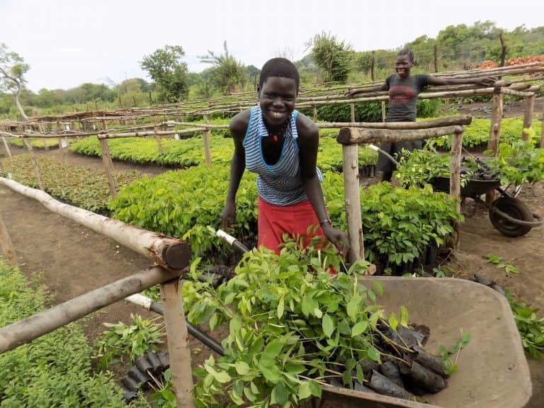 Rwamwanja Refugee Settlement Food Forest