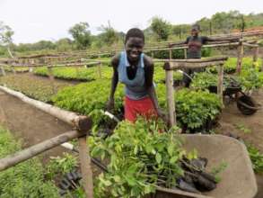 Rwamwanja Refugee Settlement Food Forest