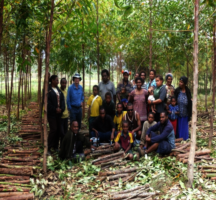 Help plant 1,000,000  trees  in Papua New Guinea