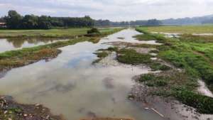 Inundated Paddy fields and clogged Velloor Thodu