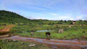 Amrithamedu Plateau