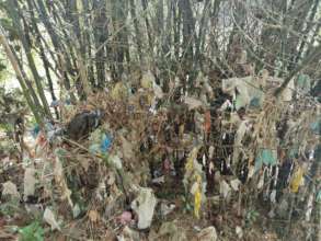 Accumulated plastic waste during flood time