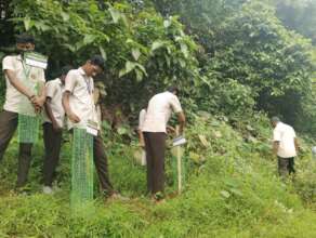 Sapling planting at Vaipur
