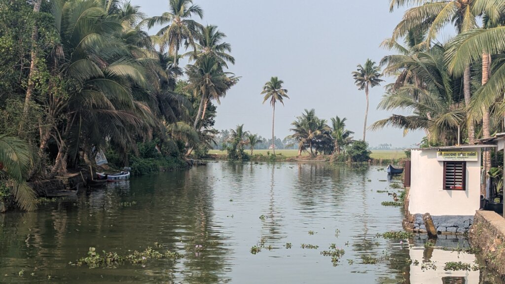 paddy fields and the river