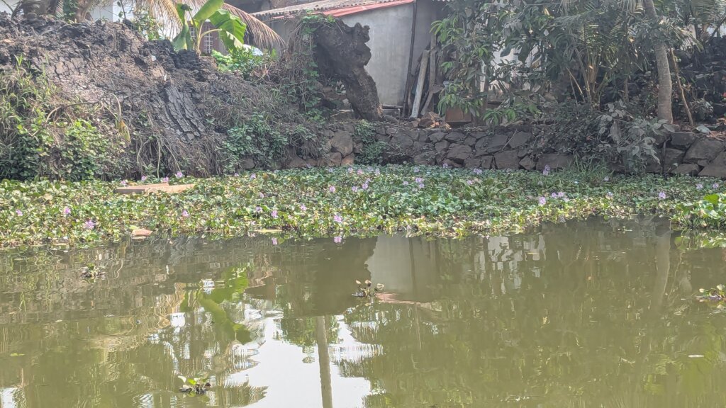 Homes on the river bank