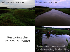 Palamuri Rivulet Restoration