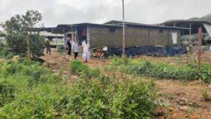 Polluting pig farm