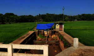 Choked waterway near Vadavathoor bund