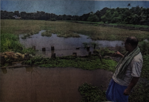 Farmer at Kollad, Kottayam