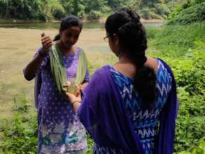 Water Quality Testing