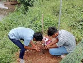Biofertilizer application
