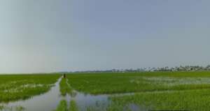 Havoc by unprecedented rain