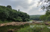 Adopt a River