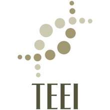 TEEI Educates to Break the Cycle