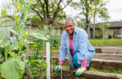 Fresh Foods for Hurricane Harvey Survivors