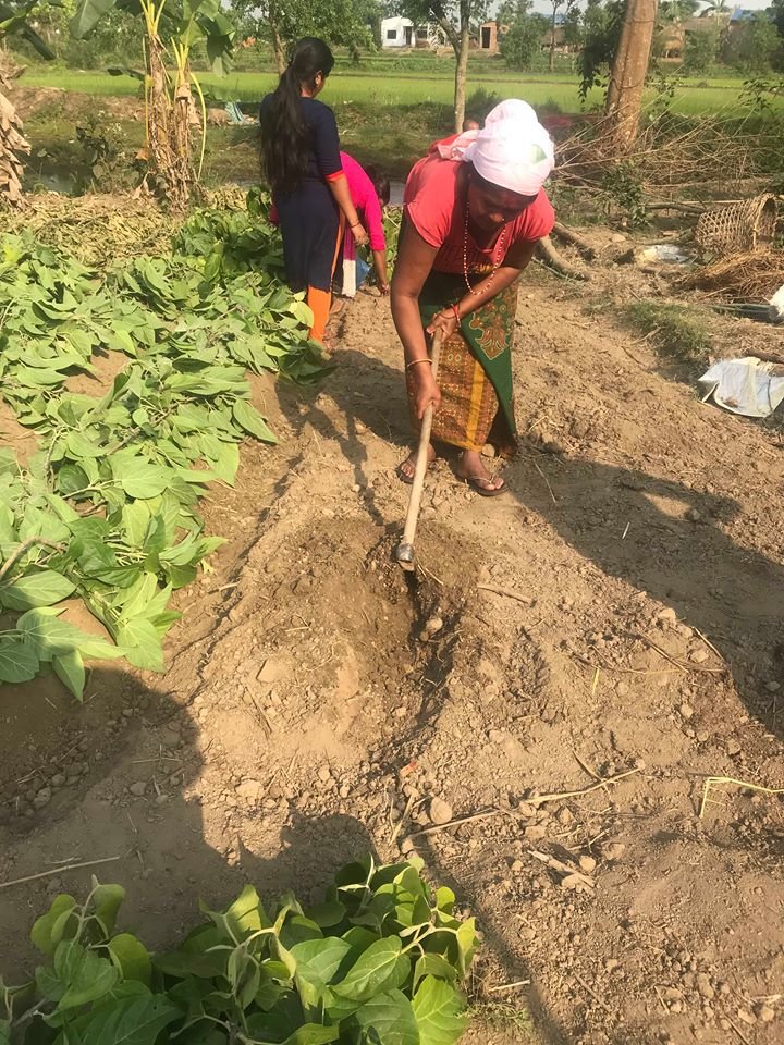 Support Education and Livelihoods in rural Nepal