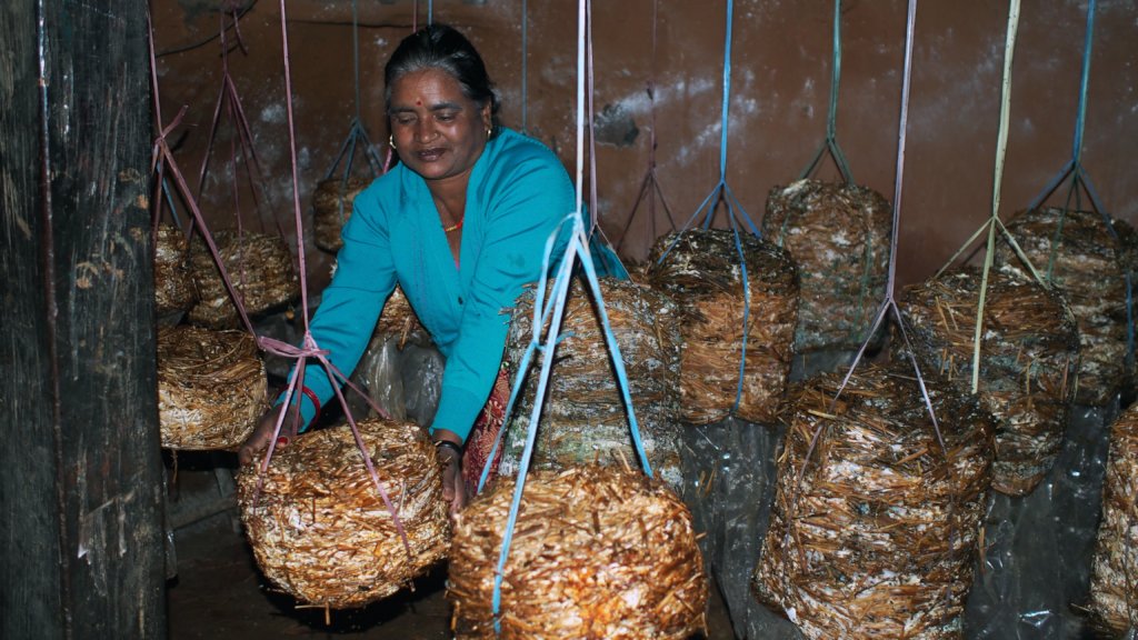 Support Education and Livelihoods in rural Nepal