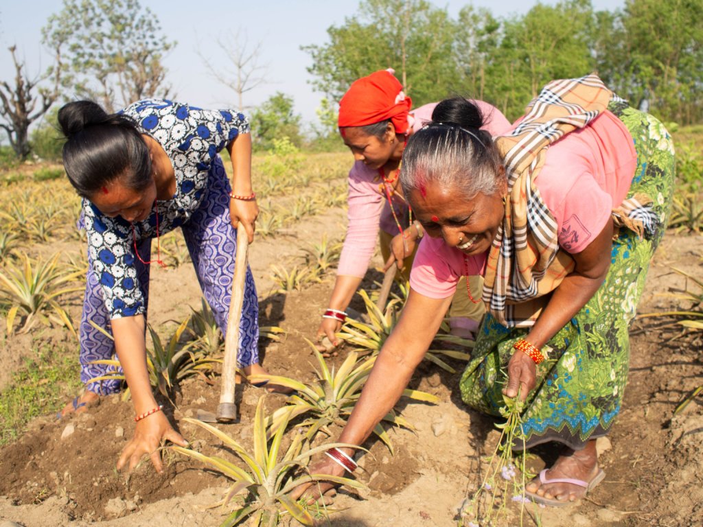 Support Education and Livelihoods in rural Nepal
