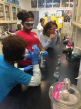 Testing properties of acids and bases.
