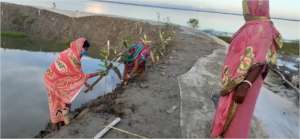 Women came forward in shore area Plantations