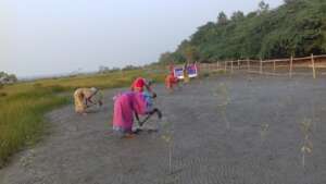 Villagers together at Mangrove Plantation