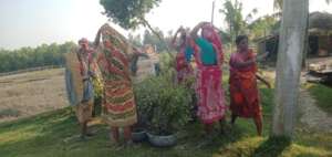Women lending hands for carrying Mangrove saplings