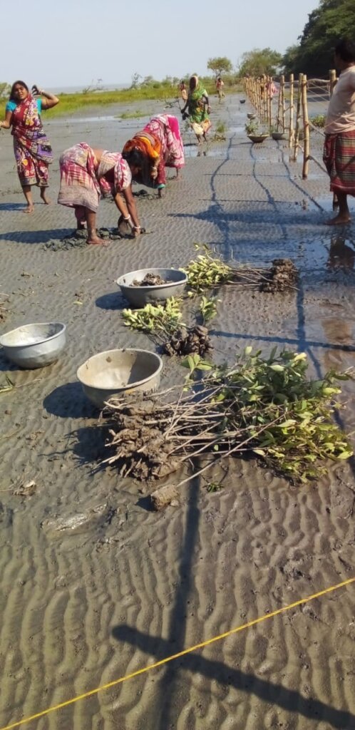 Women leading the Plantations actively