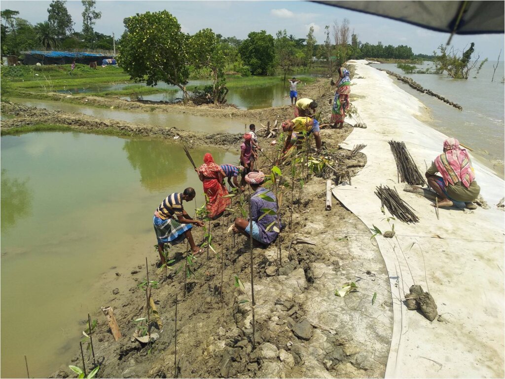 Men & Women in Plantation at the shore embankments