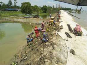 Men & Women in Plantation at the shore embankments