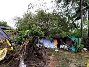Devastating Impacts