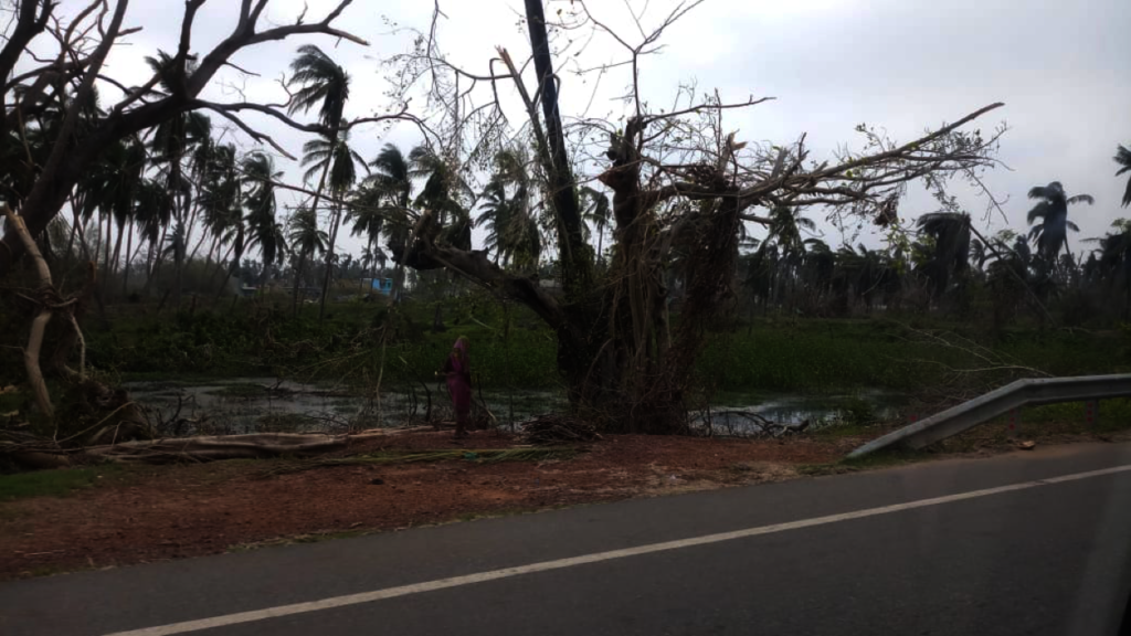 Rehabilitation for Cyclone Affected Communities