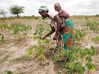 Feed 700 Poor Households - Organic Gardens Project