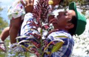 ENGAGE 100 YOUNG FARMERS IN ECOLOGICAL AGRICULTURE