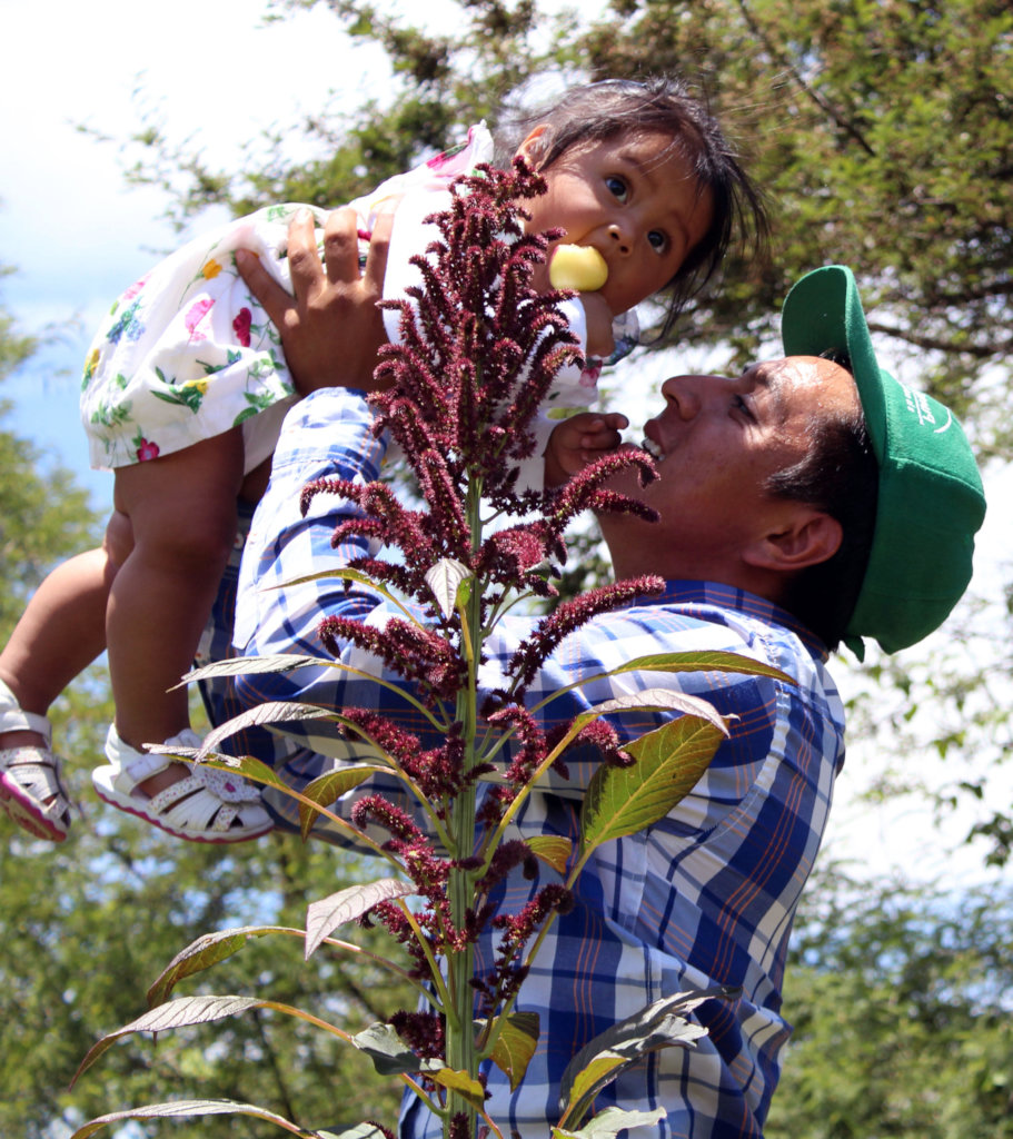 ENGAGE 100 YOUNG FARMERS IN ECOLOGICAL AGRICULTURE