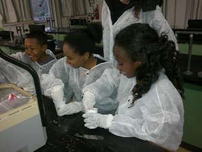 Science & art afterschool workshops