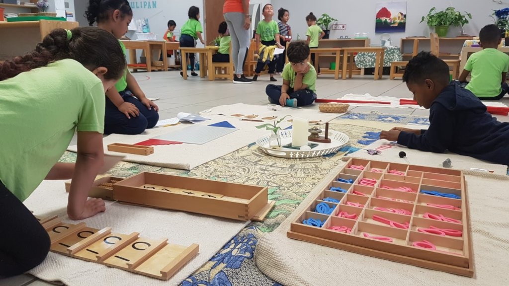 Support Puerto Rico's Public Montessori Project