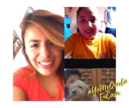 Online mentoring