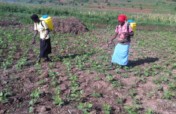 Women Empowerment for Sustainable Development