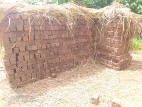 Mud bricks