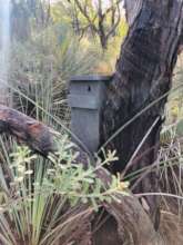 Custom built nesting box
