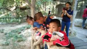 BEAM volunteers at a zoo on Children's Day