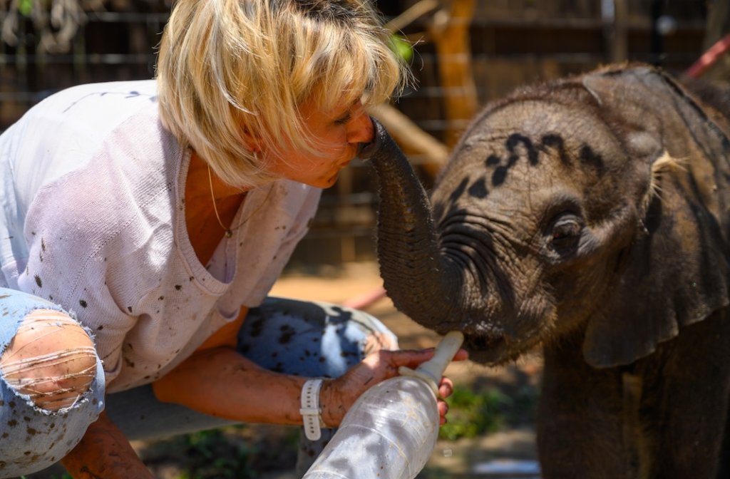 1000 Hearts for SA's first Elephant Orphanage
