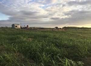 The Grounds of the new orphanage site