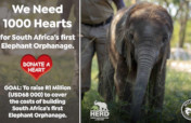 1000 Hearts for SA's first Elephant Orphanage