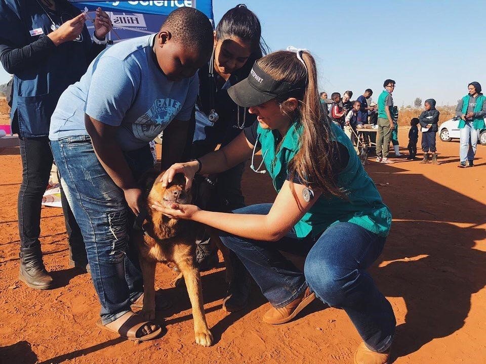 Our Vice-Chair deworming a dog in a rural area.