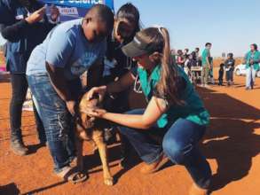 Our Vice-Chair deworming a dog in a rural area.