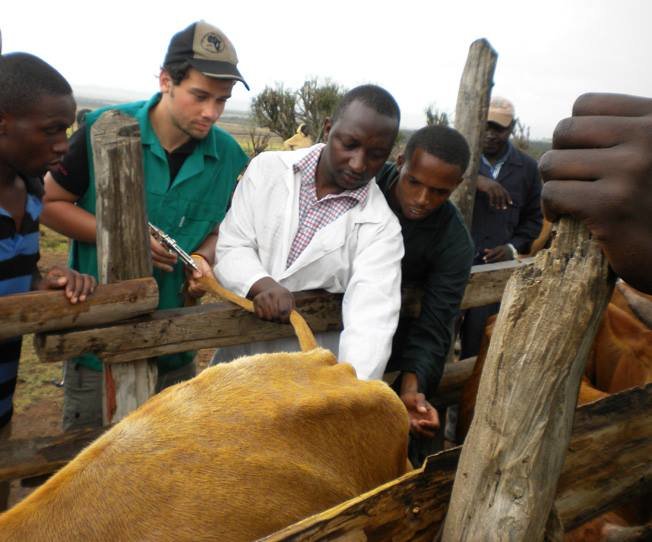 Vet Books for Africa