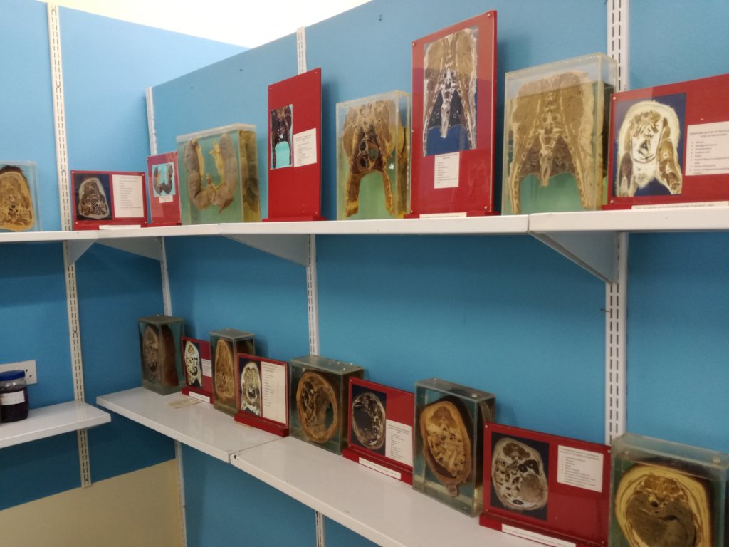 Vet Books for Africa