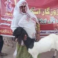 Women Receiving her Goat