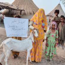 Goat and happy family